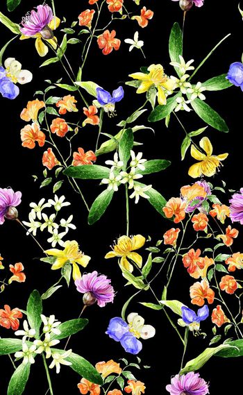 580333-欧美流行时尚水彩花卉