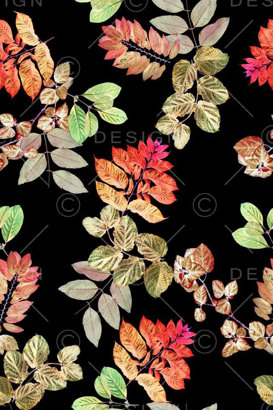 女装印花华亿平台图片