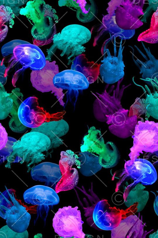 动物纹印花华亿平台图片