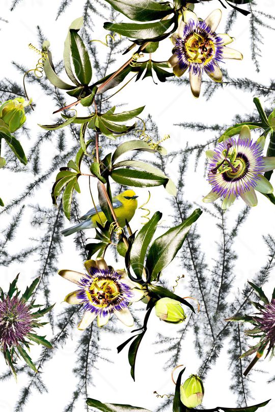 甜美 清新印花华亿平台图片