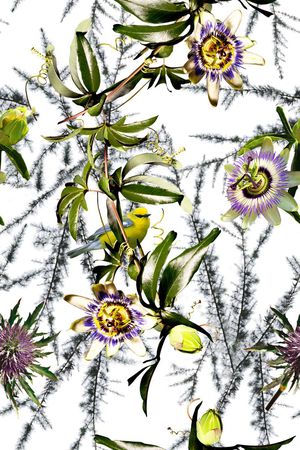 甜美 清新印花华亿平台图片