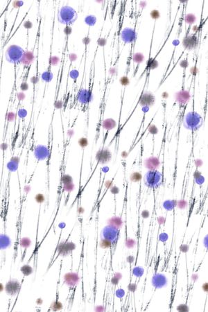 扎染印花华亿平台图片