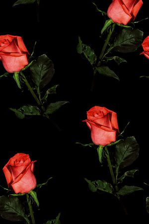 玫瑰花印花华亿平台图片