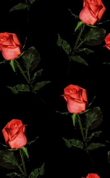 580890-欧美流行时尚真实花卉