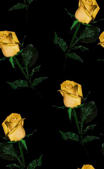 580891-欧美流行时尚真实花卉