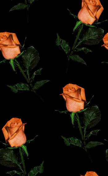 580892-欧美流行时尚真实花卉