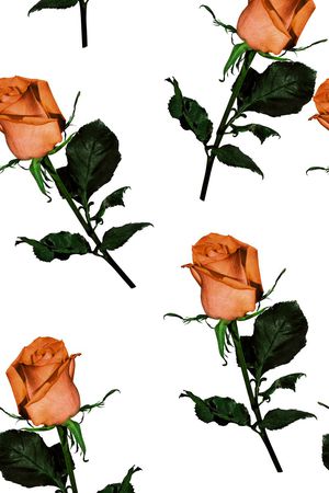 玫瑰花印花华亿平台图片