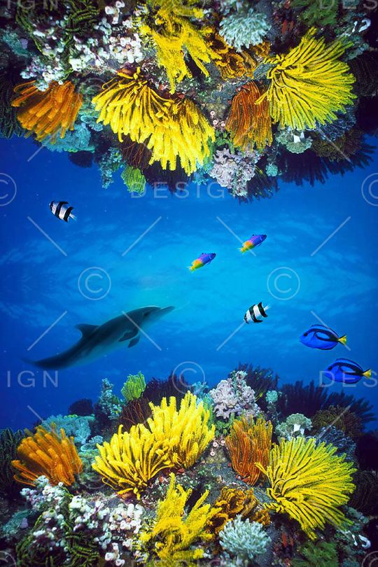 时尚印花华亿平台图片