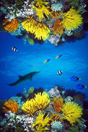 时尚印花华亿平台图片