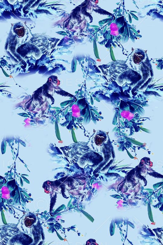 猴子印花华亿平台图片