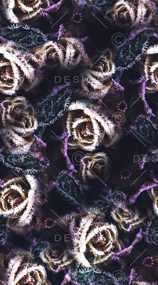 迷幻印花华亿平台图片