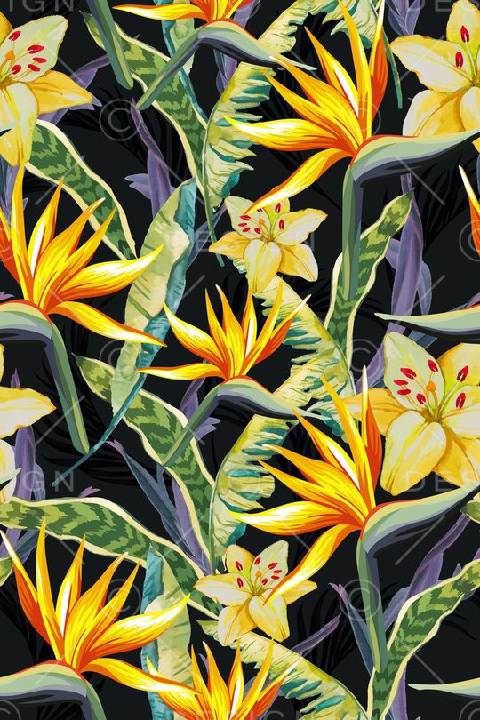 天堂鸟花印花华亿平台图片