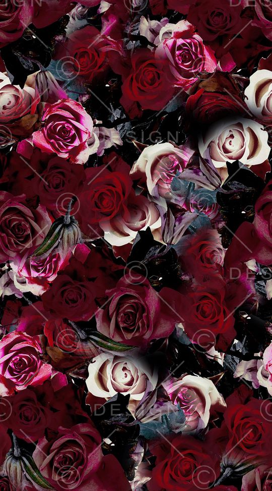 玫瑰印花华亿平台图片