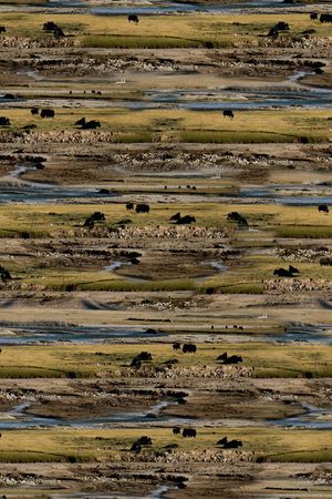 潮流印花华亿平台图片