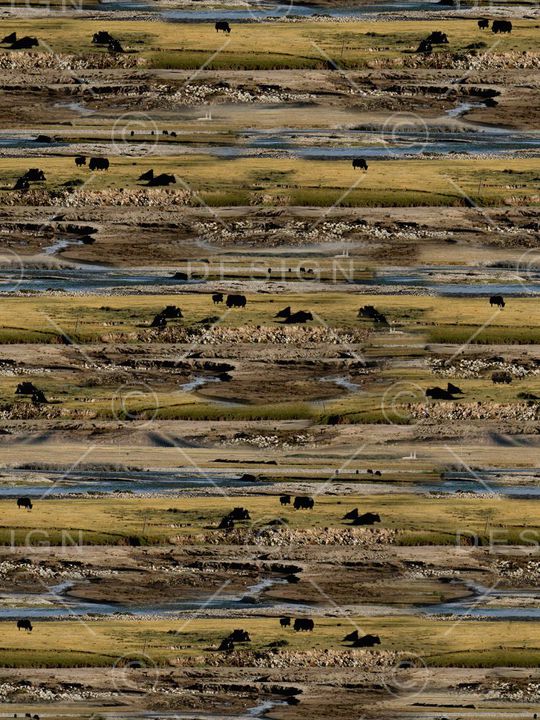 潮流印花华亿平台图片