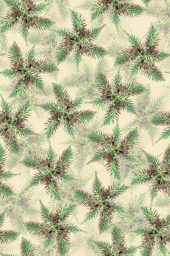 581118-热带雨林-雨林热恋