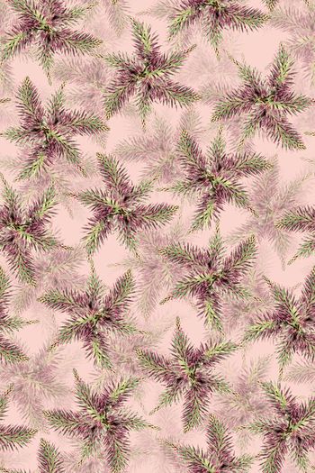 581119-热带雨林-雨林热恋