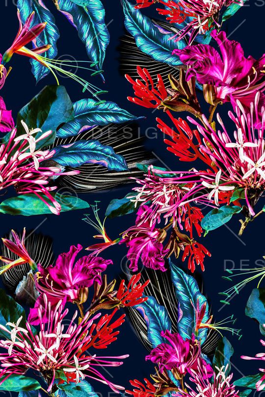 男女泳装印花华亿平台图片