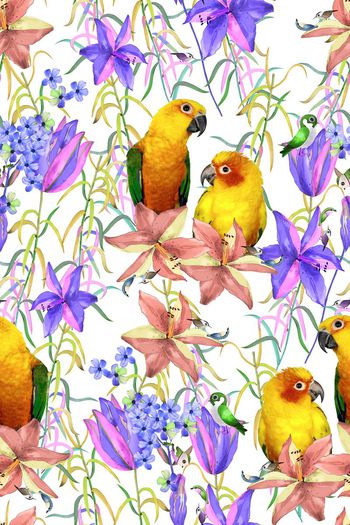 581543-热带雨林+雨林热恋