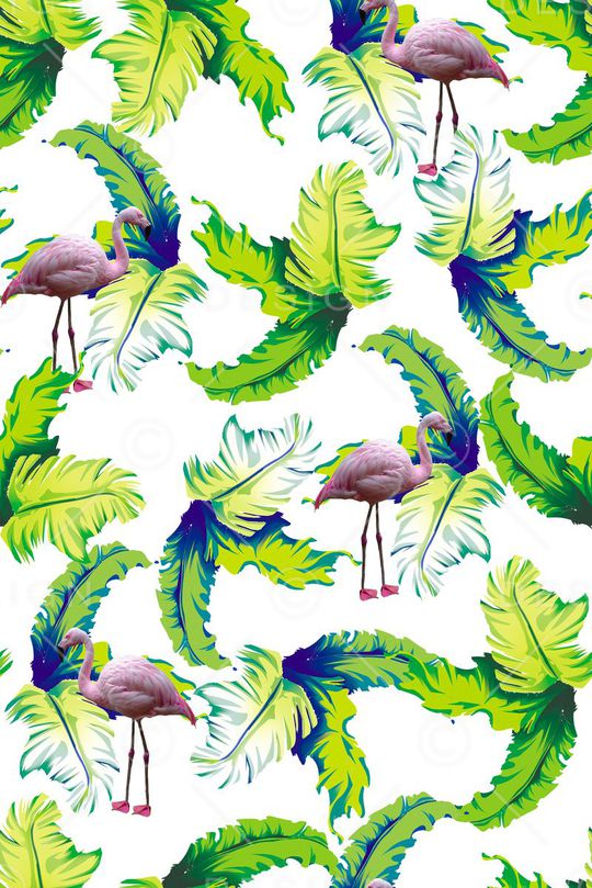 棕榈叶印花华亿平台图片