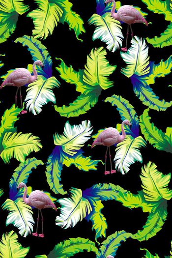 581545-热带雨林+雨林热恋