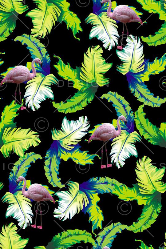 棕榈叶印花华亿平台图片