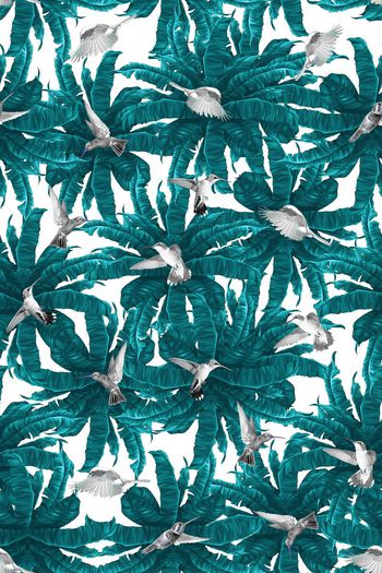 581551-热带雨林+热带风格