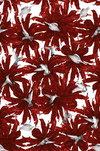 581552-热带雨林+热带风格