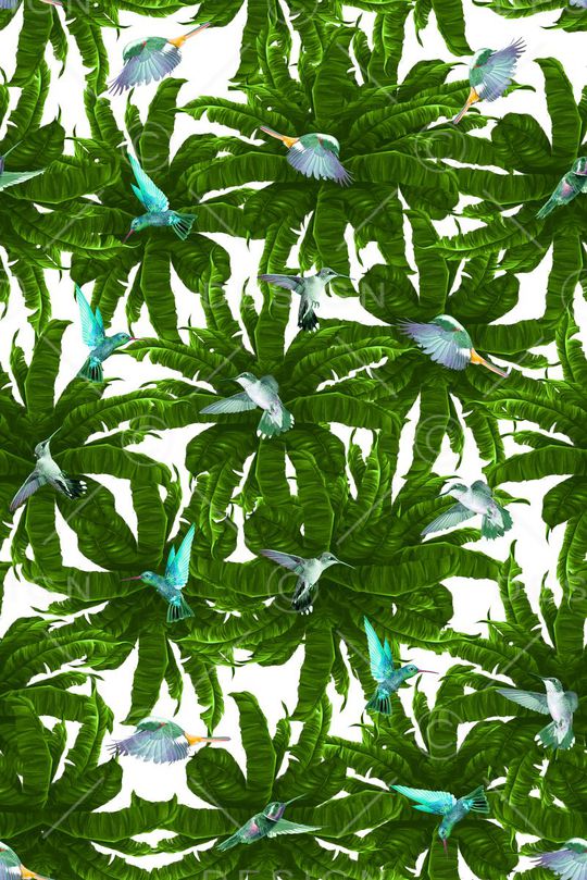 热带雨林印花华亿平台图片