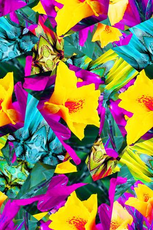 热带雨林印花华亿平台图片