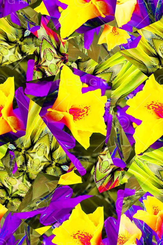 热带雨林印花华亿平台图片