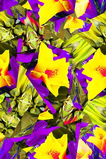 581701-热带雨林+色彩