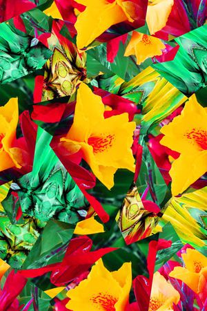 热带雨林印花华亿平台图片