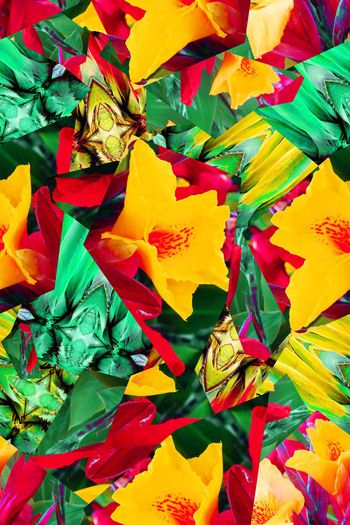 581702-热带雨林+色彩