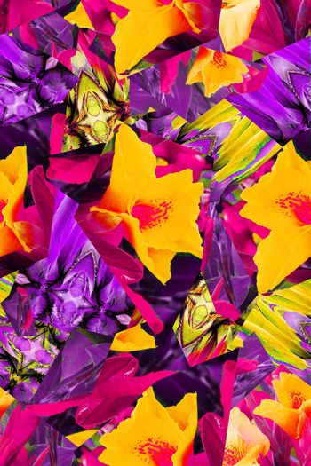 581703-热带雨林+色彩