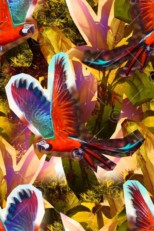 热带雨林印花华亿平台图片