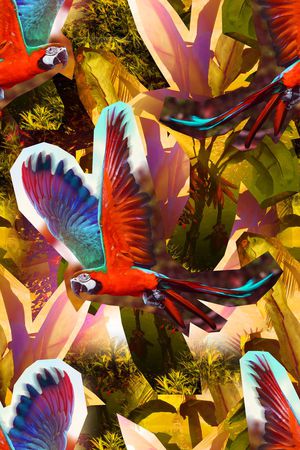 热带雨林印花华亿平台图片