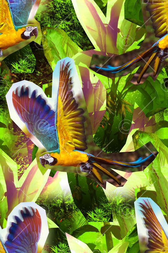 热带雨林印花华亿平台图片