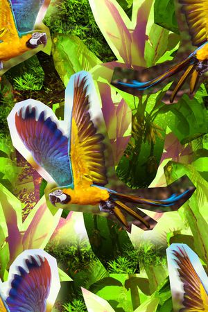 热带雨林印花华亿平台图片