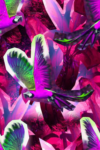 581715-热带雨林+雨林热恋