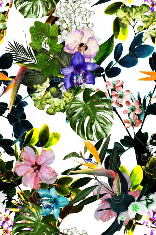 热带雨林印花华亿平台图片