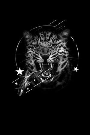 黑白印花华亿平台图片