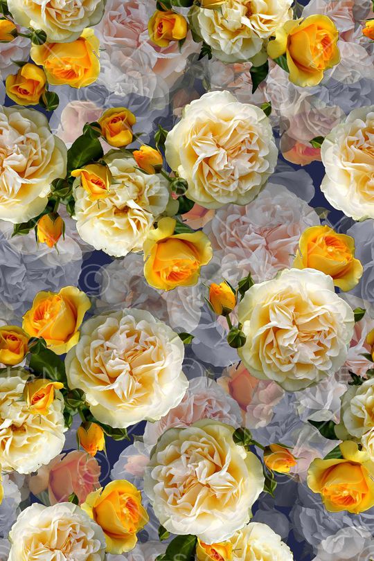 复古印花华亿平台图片