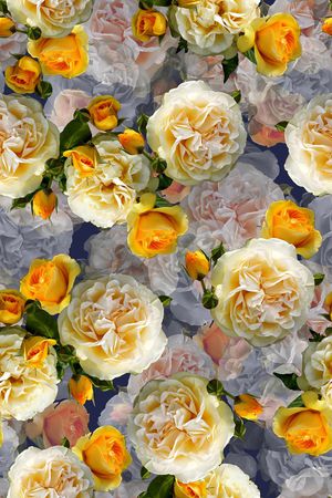 复古印花华亿平台图片