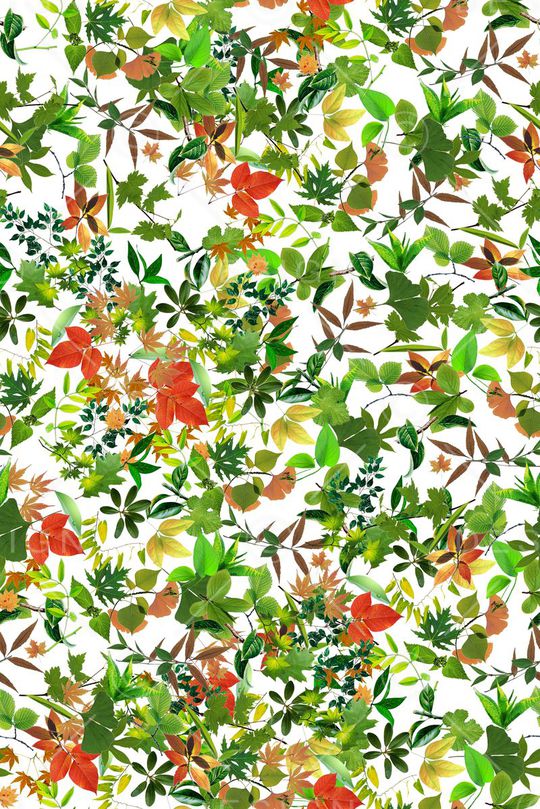 数码印花华亿平台图片