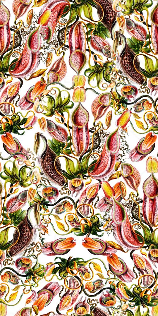 大气印花华亿平台图片