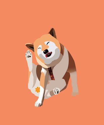 卡通印花华亿平台图片