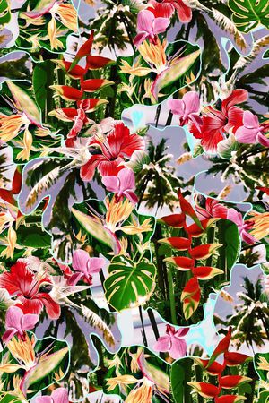 热带、花卉、鸟、线条印花华亿平台图片