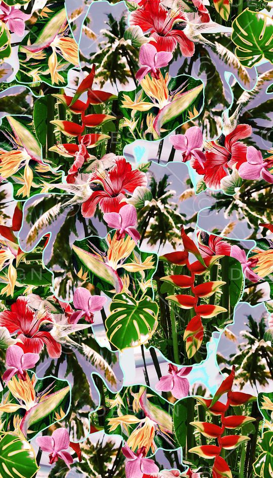 热带、花卉、鸟、线条印花华亿平台图片