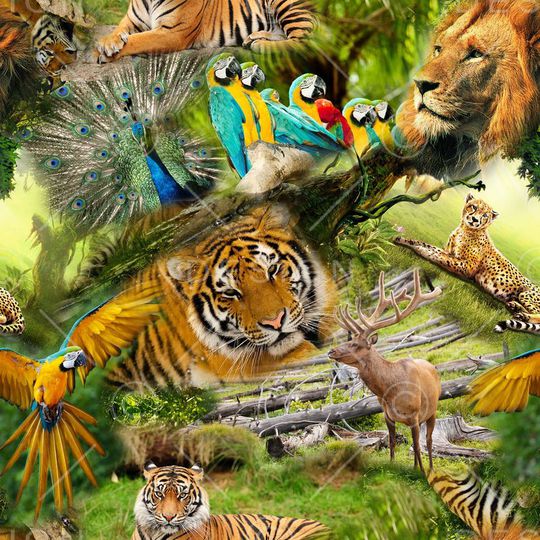 动物纹印花华亿平台图片